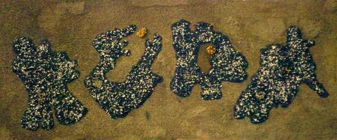 Care For An Amoeba 37.5 x 94.75 Acrylic, oyster shell, and sand on panel