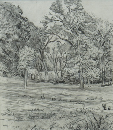 Oak Trees In Autumn by Joe Tonnar Graphite 2005