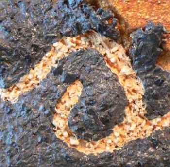 signature of care.spiral